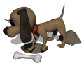 cane marrone scava.gif